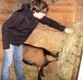 Photo: Me with Henry in his shed (November 2010)