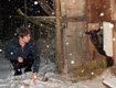 Photo: Henry sheltering from the snow (February 2012)